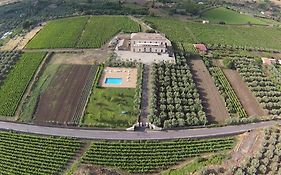 Feudo Vagliasindi -Wine Experience-